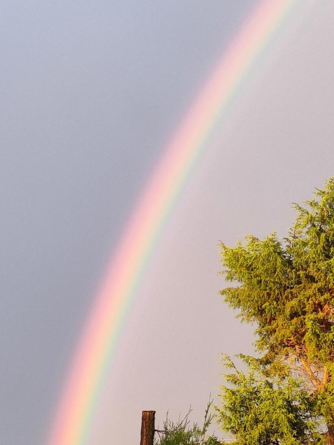Vila Gosciniec Koden Exteriér fotografie