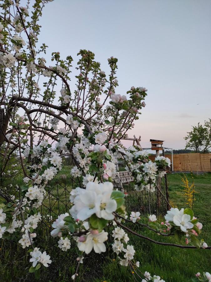 Vila Gosciniec Koden Exteriér fotografie
